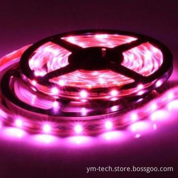 LED Strip 3528SMD120 LED BLACK PCB  WATERPROOF